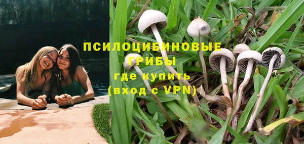 а пвп мука Горно-Алтайск